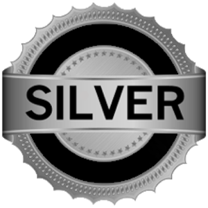 Silver Badge